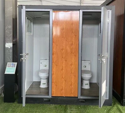 Toilet Mobile Home